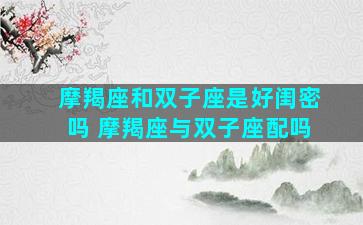摩羯座和双子座是好闺密吗 摩羯座与双子座配吗